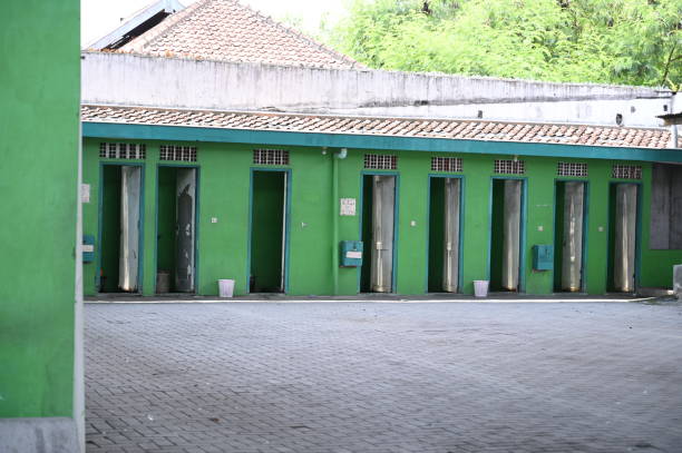 Best Local porta potty services  in Burley, WA